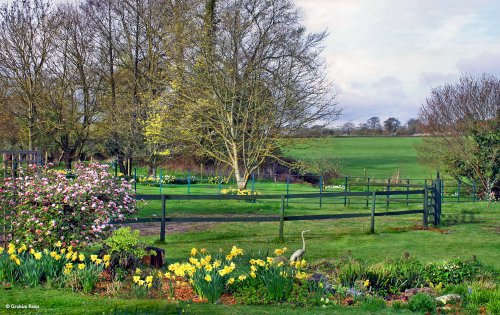 Shillingstone in Dorset