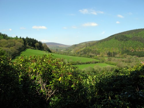 Dunster woods. Stunning view from Vinegar Hill