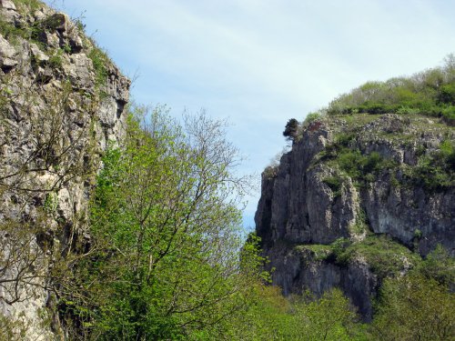 Cheddar Gorge