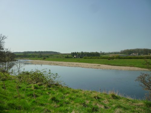 The River Tees