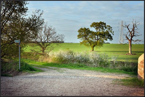 Lengthening shadows.