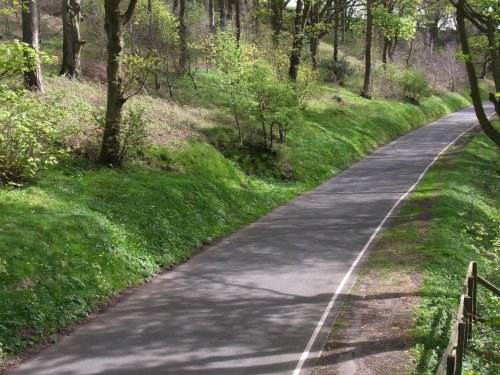 Dappled Lane