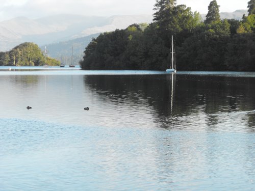 Yachts on the lake