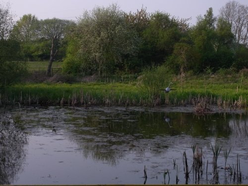 Fairburn Ings