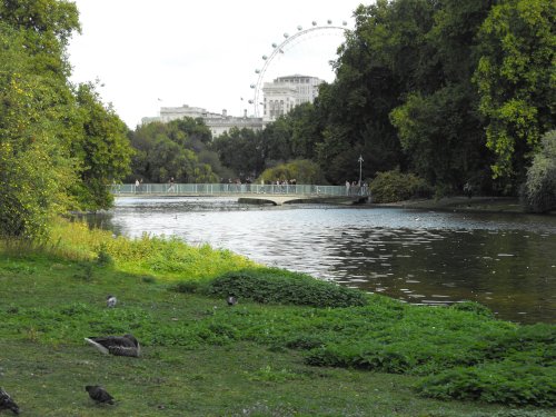 Looking towards the Thames