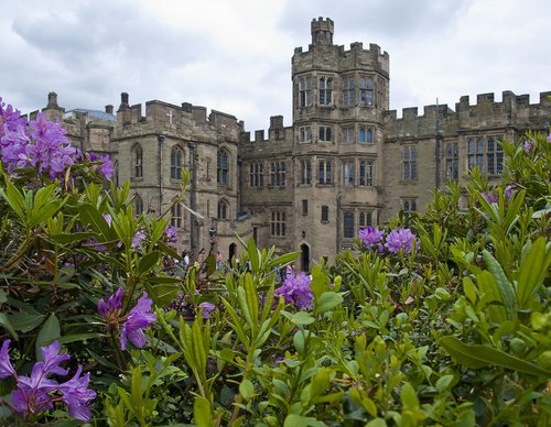 Castle through the blooms