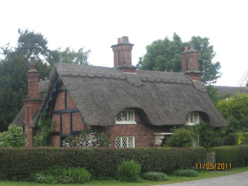 Thatch cottage