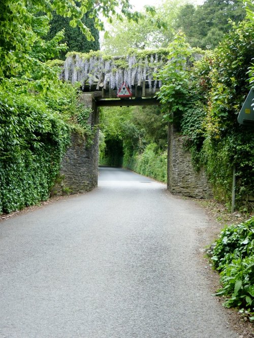 Under The Bridge