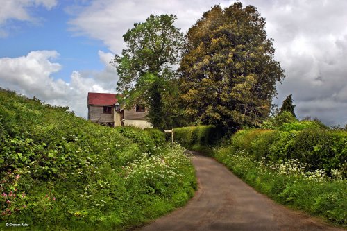 Shillingstone In Dorset