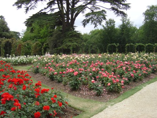 Blenheim Palace