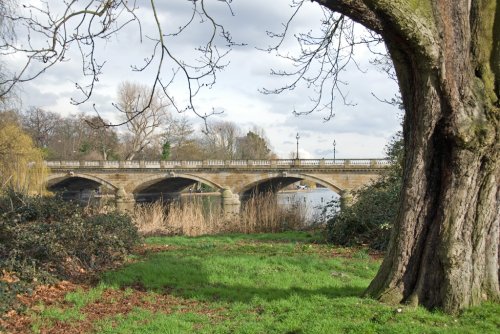 Serpentine Bridge