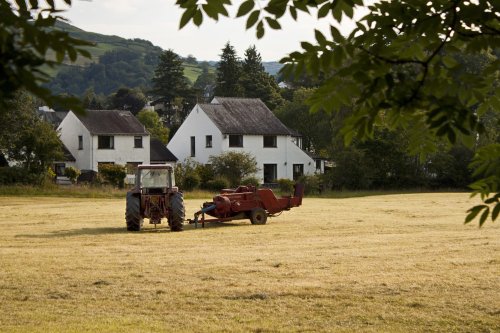 Rural scene within the town