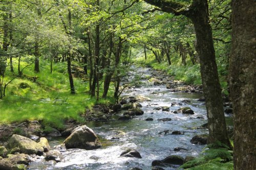 Afon Artro near Llanbedr