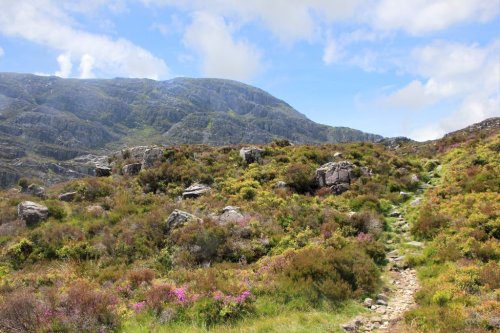 The Roman Steps