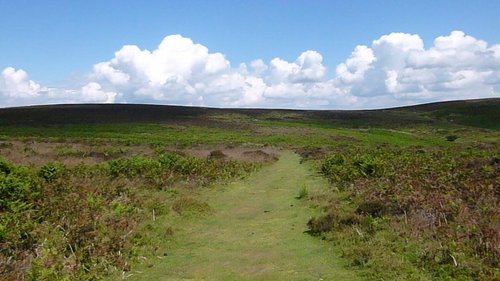 Plateau on top of the Long Mynd