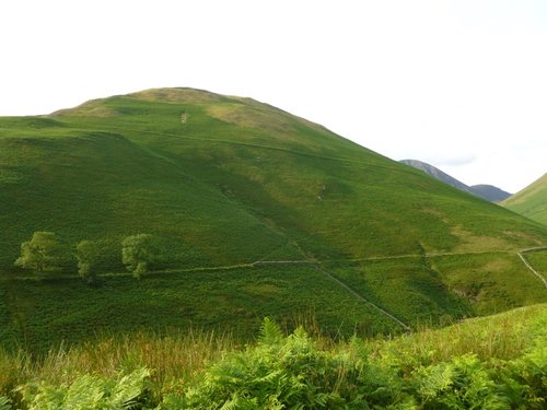 Around the Newlands Valley.