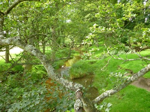 Off the footpath from Stone House to Hawes.