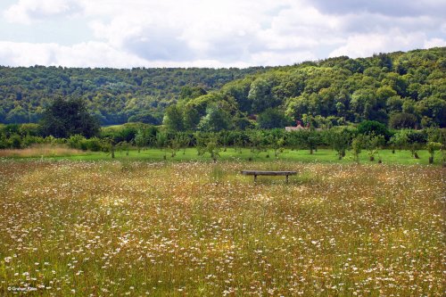 Stour Valley Summer