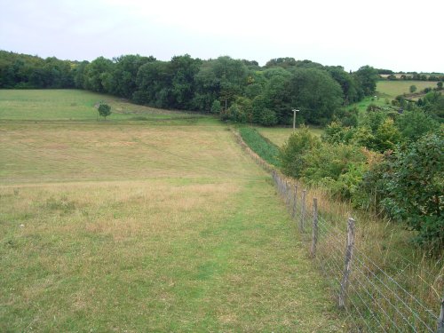 Chilham Denge Wood Walk (1)