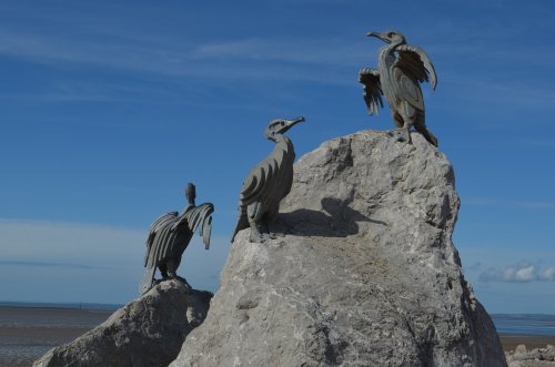 Cormorant Sculpture