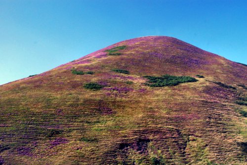 Whitendale Hanging Stones