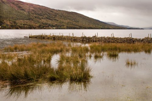 Very full lake