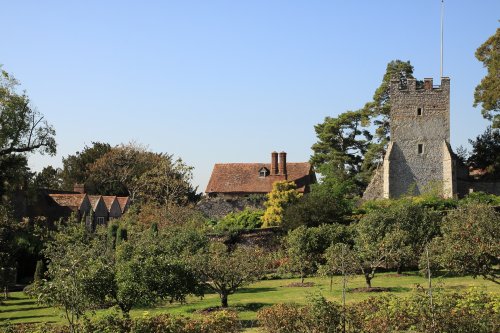 Apple orchard at Greys Court