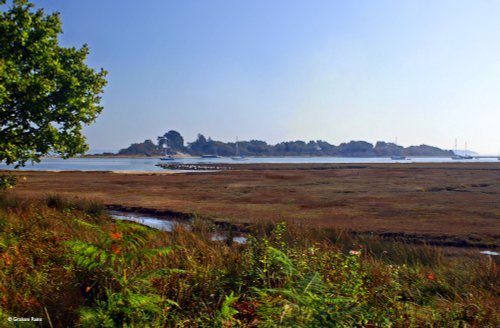 Arne RSPB Reserve