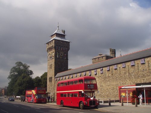 Castle and Buses