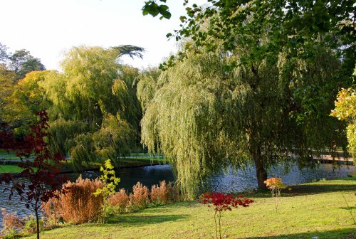 Autumn in Leeds Castle grounds