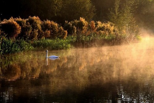 Misty River