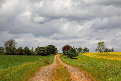 Farmland