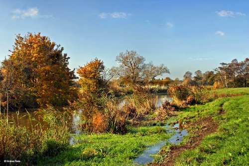 Stour Valley Autumn