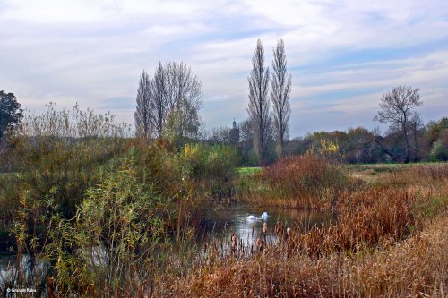 Stour Valley Autumn