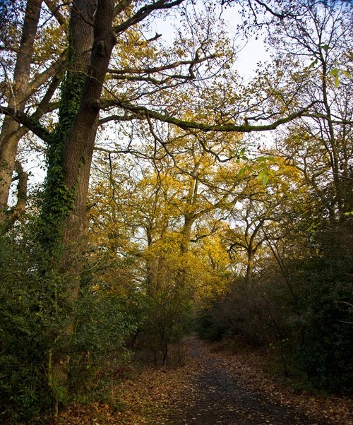 Iver Heath, Buckinghamshire