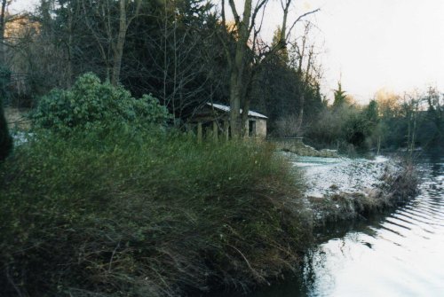 Winter by the river