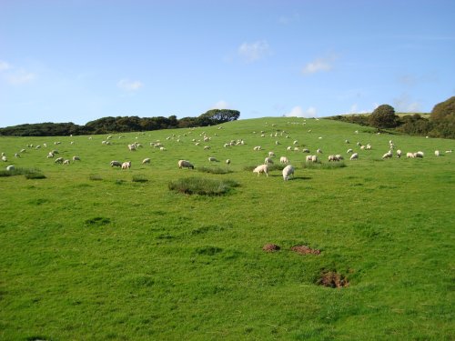 Ravenglass, rural landscape