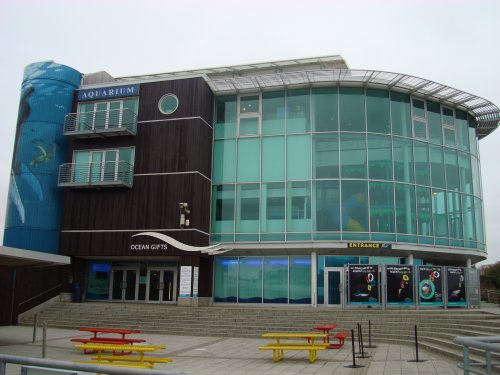 National Marine Aquarium