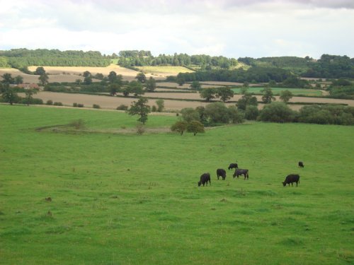 Farmland, Castle Howard Estate