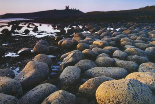 Stoney Beach