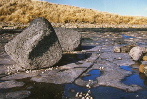 Washed up by water! Wow