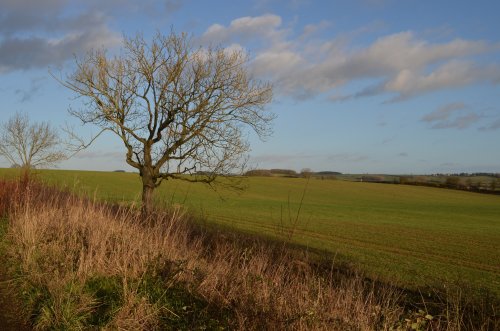 View near Slawston