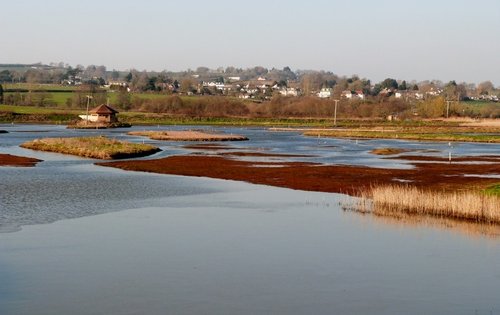 wetlands