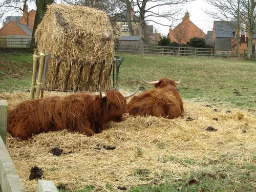 Keyston Farm