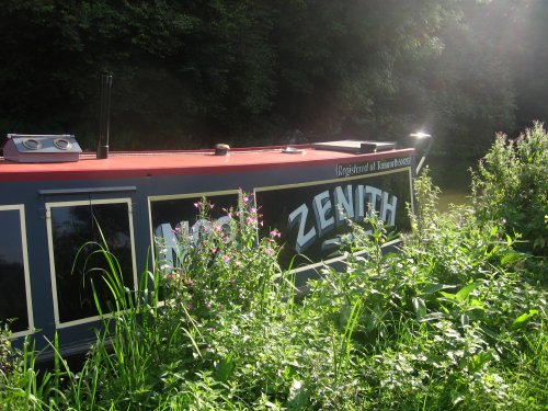 Sunbeams on Zenith