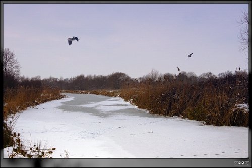 Nene River