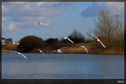 Sixfields - Flood Storage Reservoir