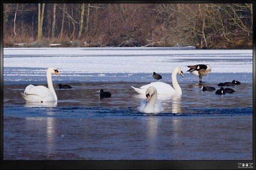 Northampton - Nene Valley Reservoir