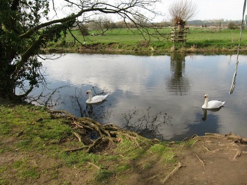 Denford River view