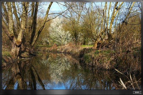 Ladybridge Park